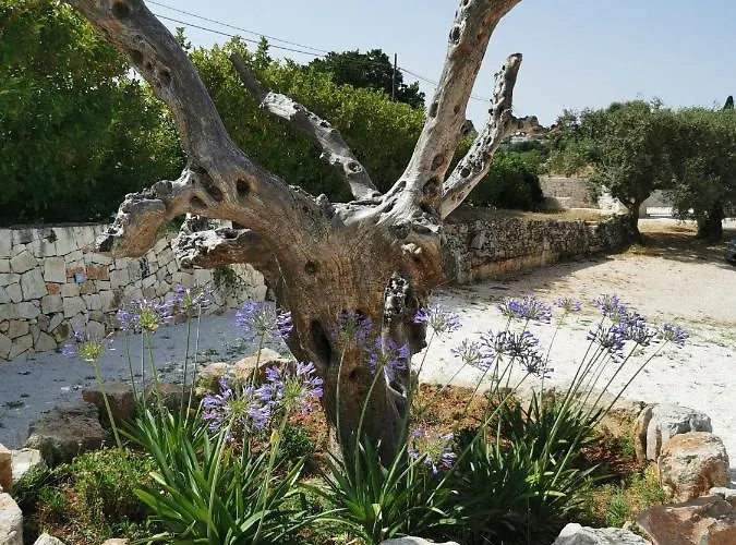 Dom wakacyjny Lamia Nina Cisternino