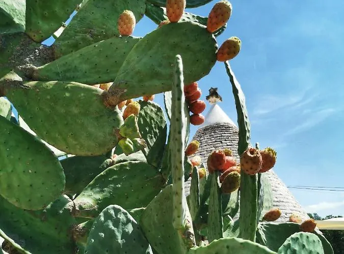 Lamia Nina Dom wakacyjny *